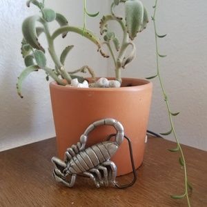 Scorpion Belt Buckle